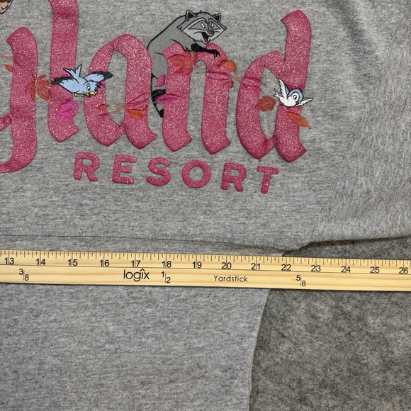 Disneyland Spirit Jersey Small Gray Woodland Creatures Oversized Shirt Adult - Picture 10 of 12